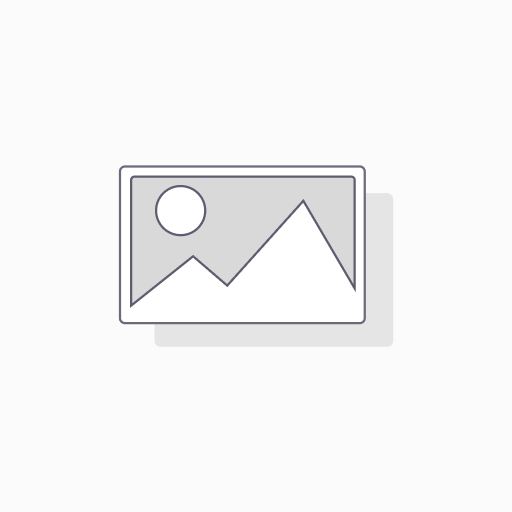 ZS Screen Glass MSOFT 535